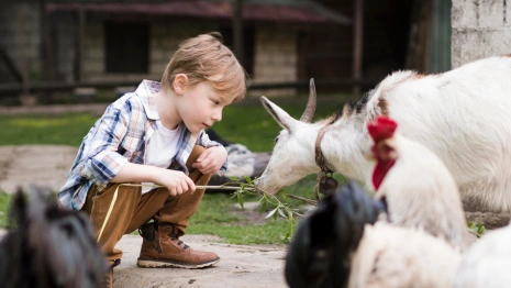 Народные приметы на 27 января 2024 года: что можно и нельзя делать в Нинин день