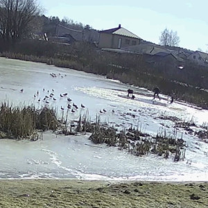 МЧС показало кадры спасения двоих детей на Кукушкином пруду в Коврове
