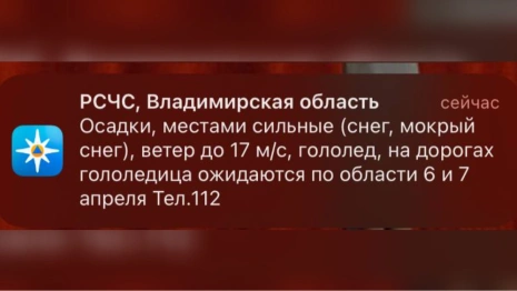 МЧС предупредило жителей Владимирской области об урагане и гололедице