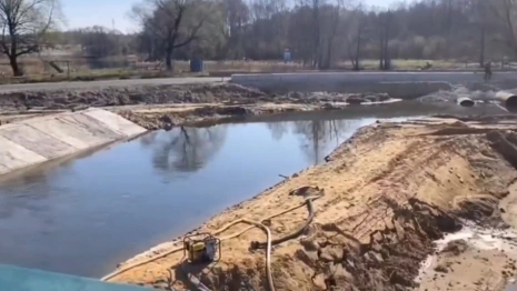 Во Владимирской области ради спасения рыбы начнут расчистку реки Колпи