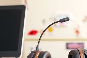 Во Владимирской области запустили еще одну горячую линию по мобилизации