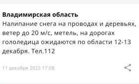 Во Владимирской области спрогнозировали метель 12 и 13 декабря