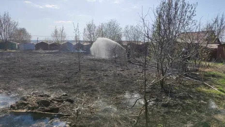Во Владимирской области пожары выжгли 50 гектаров травы