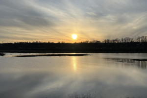 В деревне Богдарня под Петушками утонул 69-летний мужчина