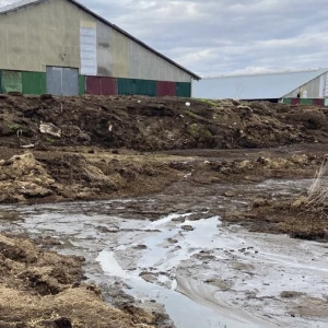 Из-за гибели рыбы в реке Бакава в Юрьев-Польском районе завели уголовное дело