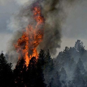 Президенту Путину доложили о попытке скрыть мощный пожар во Владимирской области