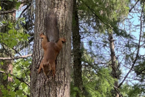 Прогноз погоды во Владимирской области на 7 сентября 2025 года
