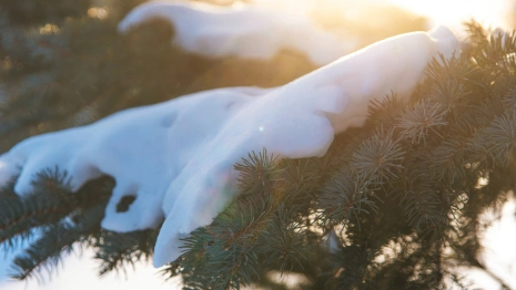 Прогноз погоды во Владимирской области на 13 января