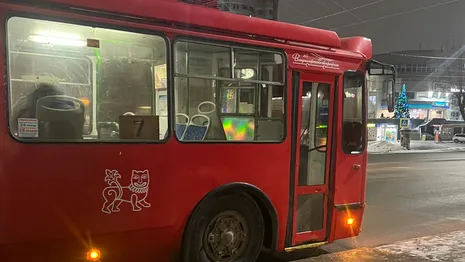 Во Владимире изменились маршруты двух троллейбусов и автобуса