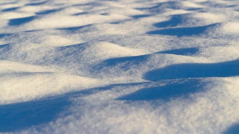 Во Владимирской области прокурор призвал к ответу чиновников за плохую уборку дорог