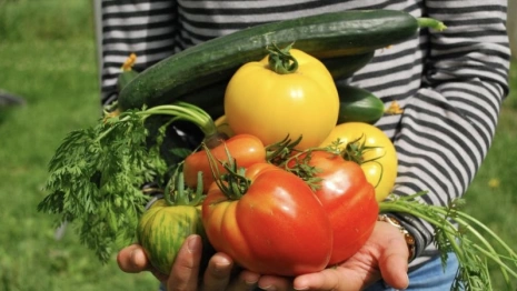 День Тимофея Грядочника: народные приметы на 2 июня