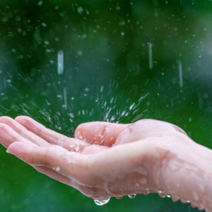 Прогноз погоды во Владимире и области на 11 июня