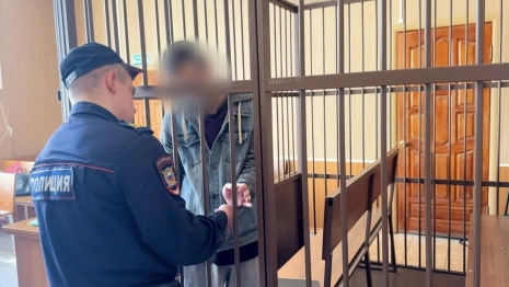 Во Владимирской области будут судить 8 членов ОПГ привезшей в Россию 2,8 тыс. мигрантов