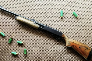 Житель Владимирской области избежал реального срока на хранение ружья и пороха