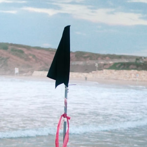 Во Владимире над озером в Семязино подняли черный флаг