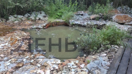 Житель Юрьев-Польского нашел в лесу клад советских денег