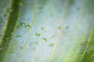 Во Владимирской области на рабочей неделе вернется 19-градусное тепло