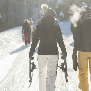 Во Владимире анонсировали поиск проектировщика лыжероллерной трассы