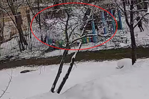 Появилось видео обрушения веранды в саду Гусь-Хрустального