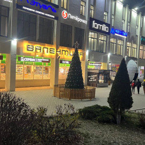 Во Владимире появились первые новогодние елки