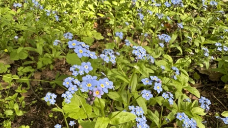 Прогноз погоды во Владимирской области на 29 июля 2025 года