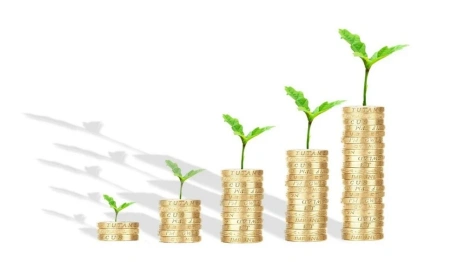 Бюджет Владимирской области увеличат на 8,65 млрд рублей