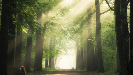 Во Владимирской области женщину в серых босоножках нашли живой