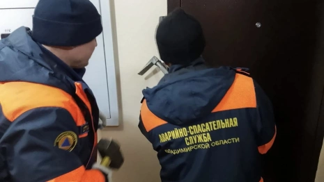 Во Владимирской области спасатели съехались к заперевшейся в квартире бабушке