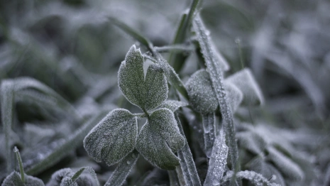 Прогноз погоды во Владимирской области на 3 ноября
