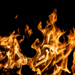 Во Владимирской области вернувшийся спасать собак на пожаре мужчина пострадал