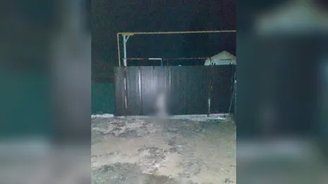 В Муроме мужчина повесил собаку на заборе
