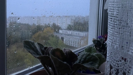 Прогноз погоды во Владимирской области на 2 июля 2025 года