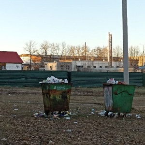 Во Владимире «Биотехнологии» оштрафовали за невывоз мусора в новогодние праздники