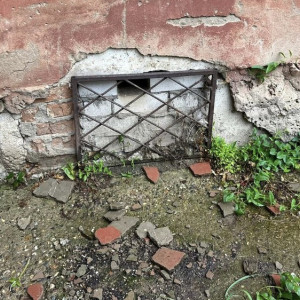 В Александрове коммунальщики замуровали кошку в подвале