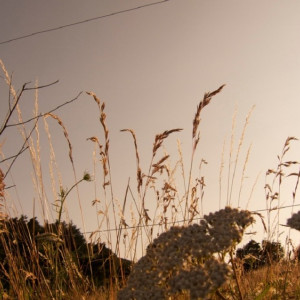 В Александрове мошенничество с продажей участка обернулось ущербом в 15 млн 