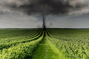 Во Владимирской области спрогнозировали возникновение смерчей