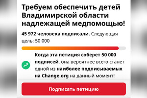 Петиция об отставке минздрава Владимирской области взорвала Интернет