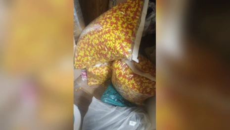 Владимирские таможенники задержали грузовик с 20 кг запрещенных веществ