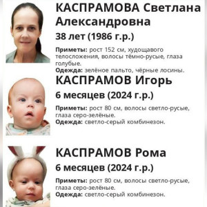 Владимирцев попросили помощи в поисках матери с двумя младенцами