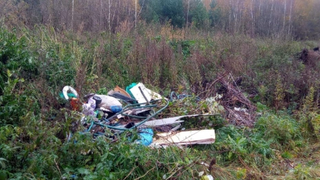 Во Владимирской области нашли 5 несанкционированных свалок