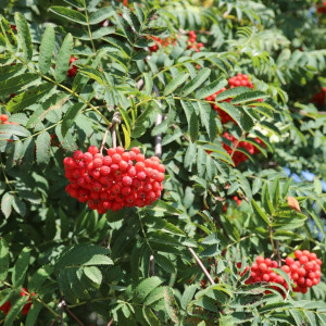 Наталья Овсяница и Адриан Осенний: что можно и нельзя делать 8 сентября