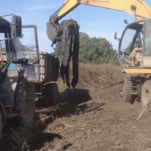 В селе Юрьев-Польского района выросла огромная стихийная свалка