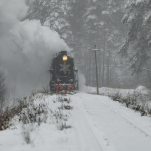Через Владимирскую область запустят турмаршрут «В Дивеево» на поезде