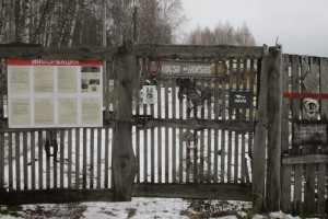 Падение 10-летней девочки с лошади в Киржачском районе обернулось уголовным делом