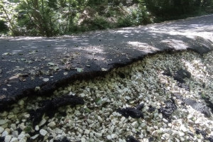В Муроме чиновники закрыли глаза на срыв сроков благоустройства лыжероллерной трассы