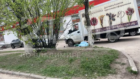 Во Владимире грузовик насмерть сбил 81-летнюю бабушку