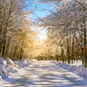 Прогноз погоды во Владимире и области на 14 февраля