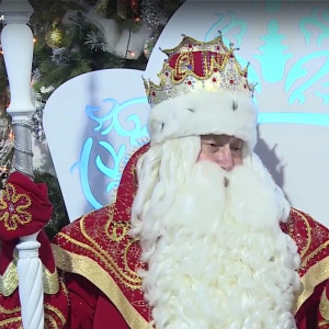 В России назвали стоимость страховки на сани Деда Мороза