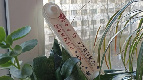 В выходные во Владимирскую область вернутся заморозки до -5