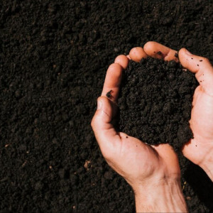 Во Владимирской области оказались брошенными 257,3 тыс. га земель